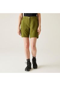 Regatta - Spodenki turystyczne damskie Chaska. Kolor: zielony. Materiał: tkanina. Sport: turystyka piesza #1