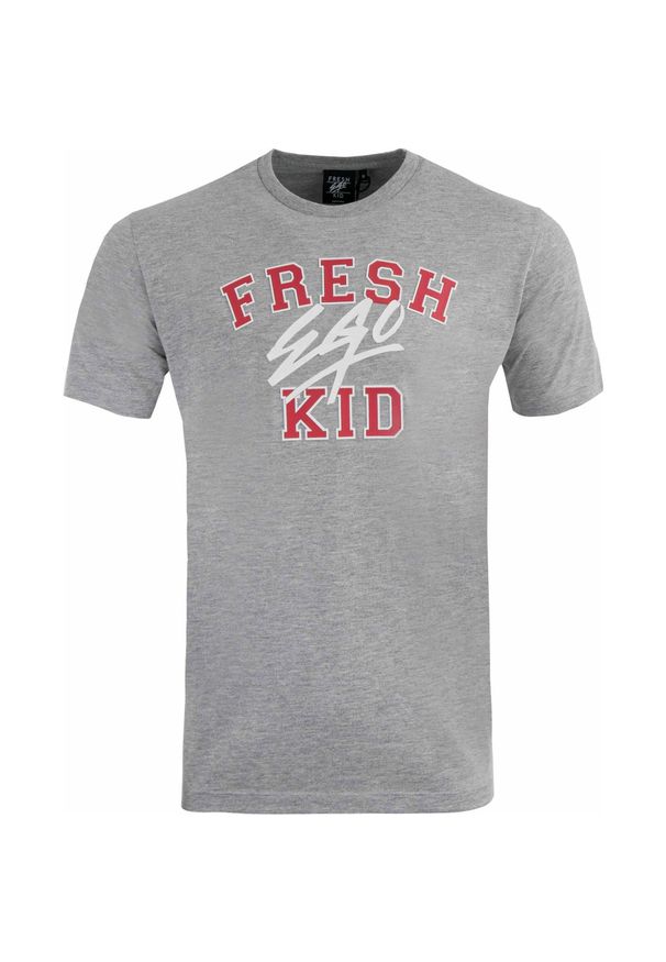 FRESH KO - Szara Koszulka Dziecięca z Logiem Uniwersyteckim Triko Fresh Eko. Kolor: szary