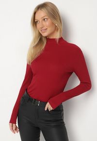 Born2be - Bordowa Bluzka z Golfem i Długim Rękawem w Klasycznym Stylu Abontia. Okazja: na spotkanie biznesowe, do pracy, na co dzień. Typ kołnierza: golf. Kolor: czerwony. Materiał: jeans. Długość rękawa: długi rękaw. Długość: długie. Styl: klasyczny #3