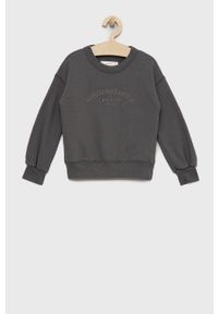 Abercrombie & Fitch bluza dziecięca kolor szary gładka. Okazja: na co dzień. Kolor: szary. Materiał: dzianina. Wzór: gładki. Styl: casual