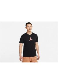 Koszulka sportowa męska Nike Air Jordan Dri-fit Air Graphic. Kolor: czarny. Długość rękawa: krótki rękaw. Technologia: Dri-Fit (Nike). Długość: krótkie. Sport: fitness