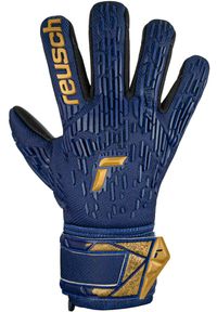 Reusch - Rękawice bramkarskie dziecięce REUSCH Attrakt Freegel Silver Junior. Kolor: żółty, wielokolorowy, niebieski
