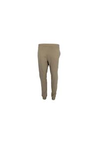 Spodnie sportowe damskie Champion Rib Cuff Pants. Kolor: zielony. Materiał: dresówka