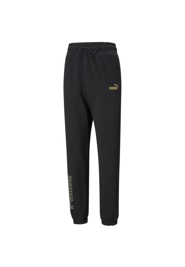 Puma Spodnie Winterized 84820201. Kolor: czarny. Długość: długie