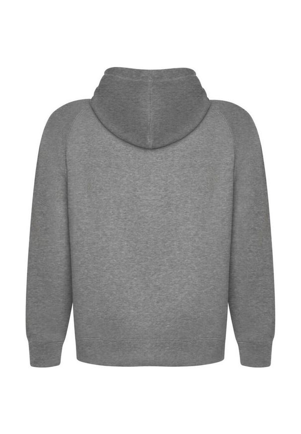 ROLY - Bluza Z Kapturem Dla Dorosłych Unisex Vinson. Typ kołnierza: kaptur. Kolor: szary