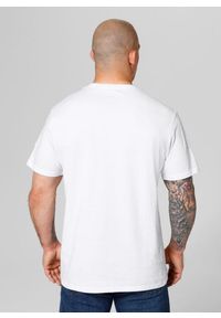 PITBULL - Koszulka męska Pitbull San Diego Dog. Kolor: biały. Sport: turystyka piesza #2