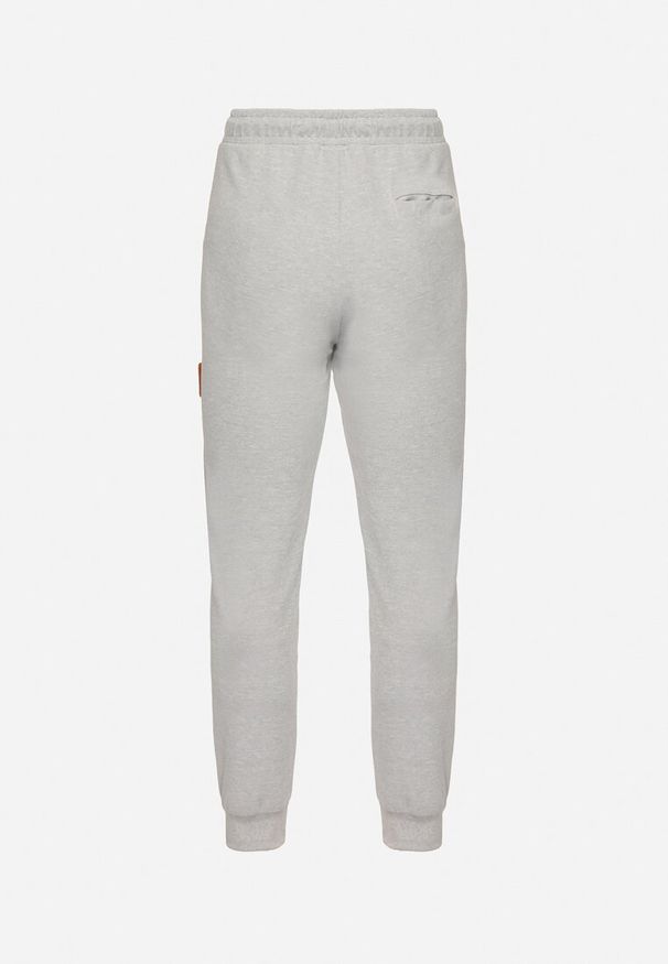 Born2be - Jasnoszare Spodnie Dresowe z Zasuwanymi Kieszeniami i Nadrukiem Alarnori. Kolor: szary. Materiał: dresówka. Wzór: nadruk