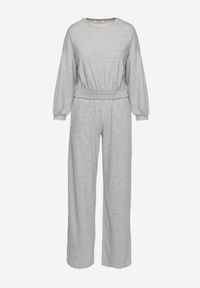 Renee - Szary Bawełniany Komplet Bluza Krótka ze Ściągaczem i Szerokie Spodnie ze Sznurkiem w Pasie Rionnea. Kolor: szary. Materiał: bawełna #5