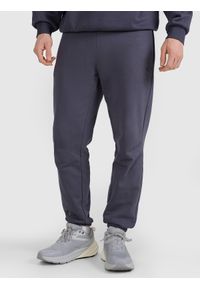 4f - 4F Spodnie dresowe joggery uniseks - szare XL. Kolor: szary. Materiał: dresówka. Wzór: gładki, ze splotem