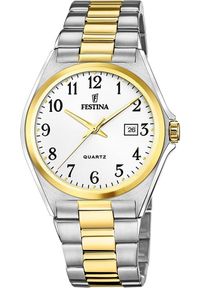 Zegarek Festina Zegarek męski Festina F20554-1 srebrny. Kolor: srebrny #1