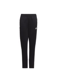 Adidas - Dziecięcy strój do biegania adidas Aeroready Primegreen 3-Stripes Tapered. Kolor: czarny, biały, wielokolorowy. Sport: fitness
