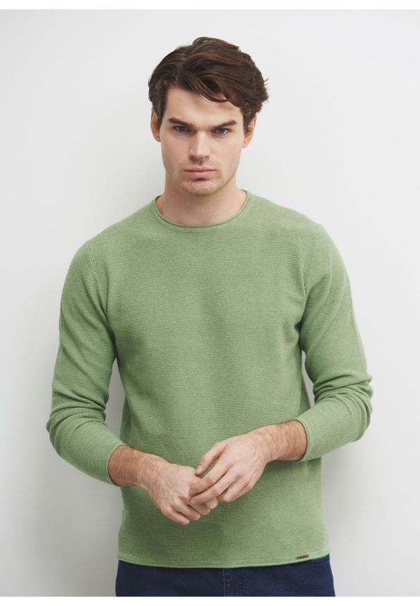 Ochnik - Zielony sweter męski basic. Okazja: na co dzień. Kolor: zielony. Materiał: bawełna. Długość: długie. Wzór: ze splotem. Styl: casual