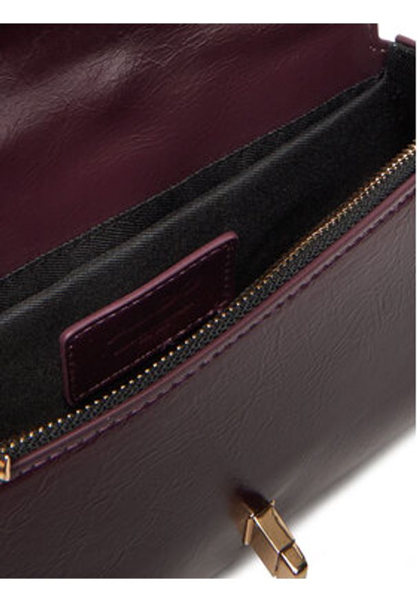 Aldo Torebka Catrine 14143698 Bordowy. Kolor: czerwony. Materiał: skórzane