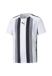 Koszulka dziecięca Puma Team Liga Striped. Kolor: biały, wielokolorowy, czarny. Sport: piłka nożna