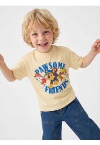 Sinsay - Koszulka PAW Patrol - kremowy. Kolor: kremowy #1