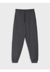 Sinsay - Spodnie dresowe jogger - szary. Kolor: szary. Materiał: dresówka #1