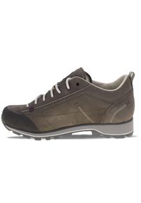 Buty trekkingowe damskie Dolomite Cinquantaquattro Low FG GTX. Kolor: szary