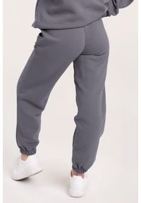 GYM GLAMOUR - Spodnie fitness damskie Gym Glamour dresowe. Kolor: szary. Materiał: dresówka. Sport: fitness