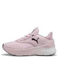 Adidasy Puma Softride Mayve, Kobiety. Kolor: różowy. Materiał: materiał