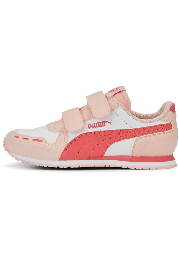 Buty sportowe dla dzieci Puma CABANA na rzep. Zapięcie: rzepy. Kolor: czerwony, biały, różowy, wielokolorowy. Materiał: tkanina, materiał, syntetyk, guma. Sport: turystyka piesza