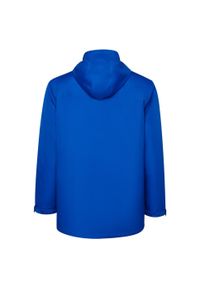 ROLY - Męska Ocieplana Parka America. Kolor: niebieski. Materiał: puch. Sport: turystyka piesza