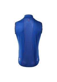 RADVIK - Męska Kamizelka Kolarska Sierra. Kolor: szary, niebieski, wielokolorowy. Sport: kolarstwo #2