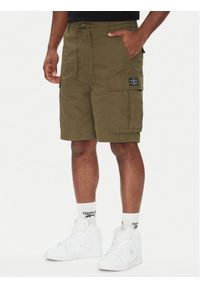 DC Szorty materiałowe Tundra ADYWS03086 Zielony Regular Fit. Kolor: zielony. Materiał: bawełna