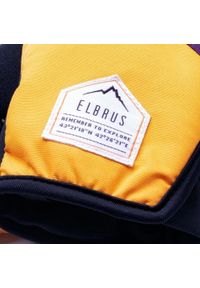 Rękawice zimowe damskie Elbrus Pointe. Kolor: wielokolorowy. Sezon: zima. Sport: turystyka piesza #2