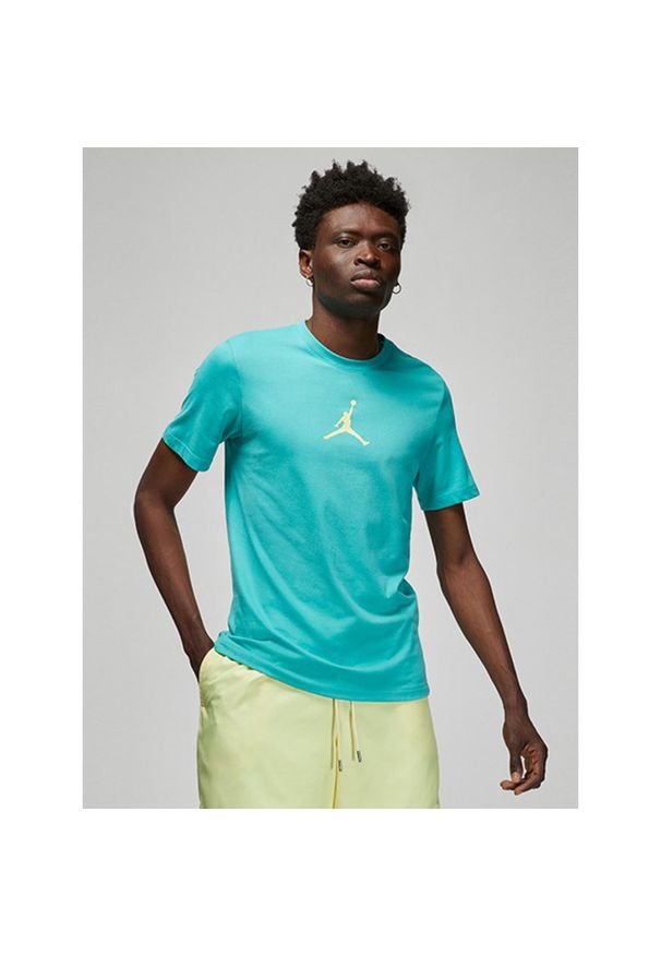 Jordan - Koszulka męska nike air jordan jumpman dri-fit crew tee washed teal. Kolor: zielony. Technologia: Dri-Fit (Nike). Sport: koszykówka