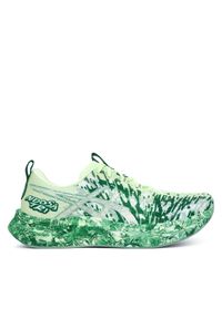 Buty do biegania Asics. Kolor: zielony #1