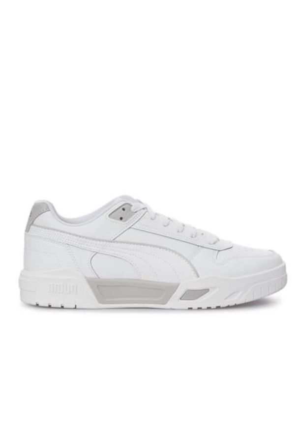 Buty do chodzenia męskie Puma 39655302. Zapięcie: sznurówki. Kolor: szary, biały, wielokolorowy. Materiał: tkanina, syntetyk, materiał. Szerokość cholewki: normalna. Sport: turystyka piesza