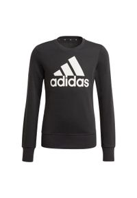 Adidas - Bluza dla dzieci adidas Essentials Big Logo Sweattshirt czarna GP0040. Kolor: czarny, biały, wielokolorowy. Sport: joga i pilates