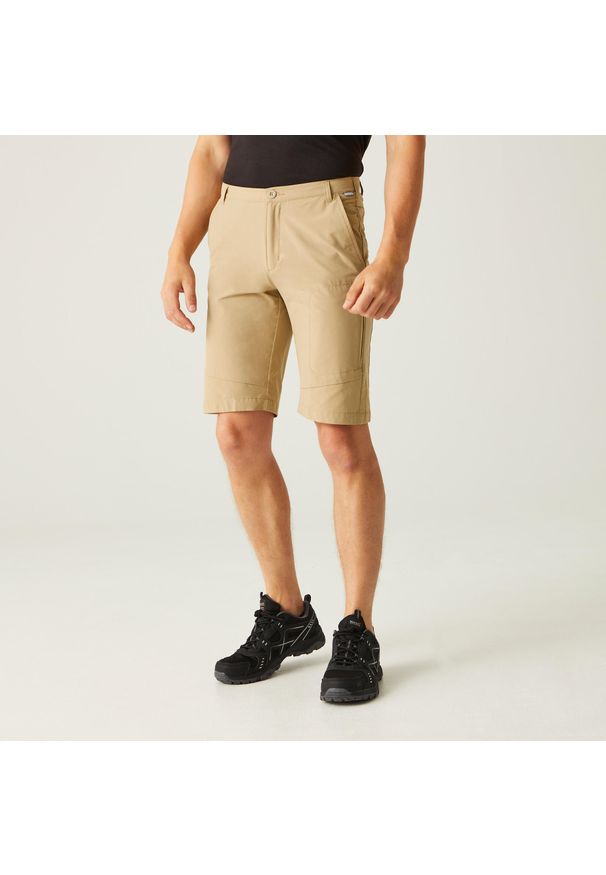Regatta - Męskie długie spodenki do chodzenia Highton. Kolor: beżowy. Materiał: materiał. Sport: turystyka piesza