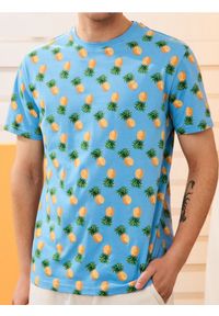 Sinsay - Koszulka z motywem owocowym - niebieski. Kolor: niebieski