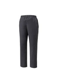 YONEX - Spodnie sportowe męskie Yonex Club Team 2024. Kolor: szary. Materiał: syntetyk, materiał. Długość: długie #2