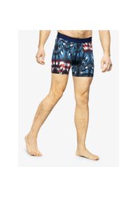 Bokserki termoaktywne Stance Banner Boxer Brief - blue L. Kolor: niebieski. Sport: turystyka piesza