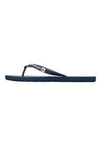 Quiksilver - Klapki JAVA GOOD PALM Niebieski Mężczyźni. Okazja: na plażę. Kolor: niebieski. Materiał: guma, syntetyk. Styl: sportowy