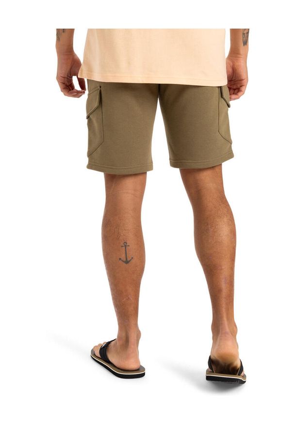 Quiksilver - dla Mężczyzn CARGO Beżowy. Kolor: beżowy. Materiał: materiał, poliester, bawełna. Długość: krótkie. Sezon: lato