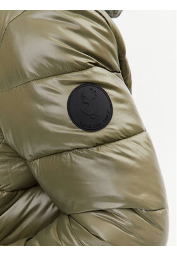 Save The Duck Kurtka zimowa Maxime D30816M LUCK17 Zielony Regular Fit. Kolor: zielony. Materiał: syntetyk. Sezon: zima