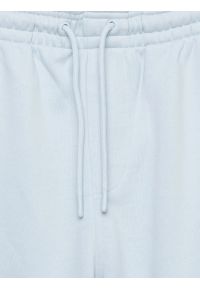 Big-Star - Szorty męskie dresowe jasnoniebieskie Luiss 400. Kolor: niebieski. Materiał: dresówka. Wzór: aplikacja, haft, ze splotem. Sezon: lato. Styl: elegancki, wakacyjny #2