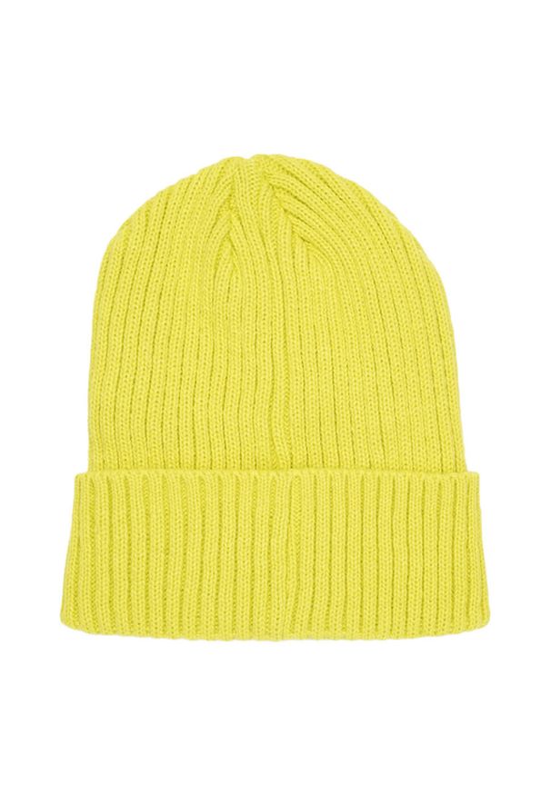 4f - H4Z22 Rubber Badge Beanie. Kolor: zielony