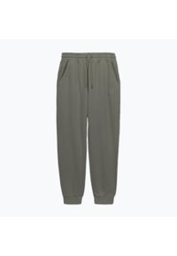 PITBULL - Spodnie męskie Pitbull Lancaster 2 Track Pants. Kolor: szary