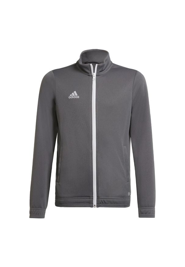 Adidas - Entrada 22 Track Jacket. Kolor: szary. Materiał: materiał. Sport: piłka nożna