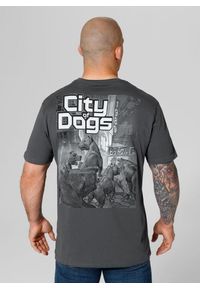PITBULL - Koszulka męska Pitbull City Of Dogs. Kolor: szary