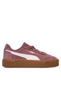 Sneakersy Puma. Kolor: brązowy #1