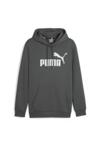 Puma - Bluza męska PUMA Essentials Big Logo Hoodie FL. Kolor: szary. Sport: fitness #1