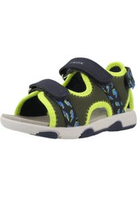 Geox - Sandały GEOX B SANDAL MULTY BOY Zielony. Kolor: zielony. Materiał: syntetyk, tkanina. Sport: turystyka piesza