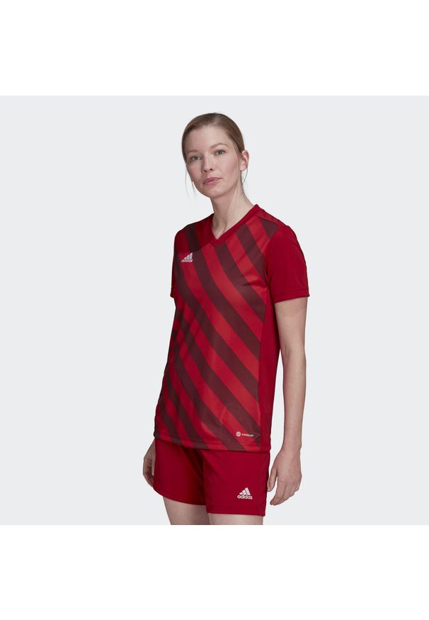 Adidas - Entrada 22 Graphic Jersey. Kolor: czerwony. Materiał: jersey. Sport: piłka nożna