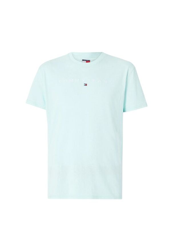Tommy Jeans T-Shirt Linear Logo DM0DM20744 Zielony Regular Fit. Kolor: zielony. Materiał: bawełna