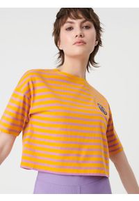 Sinsay - Crop top z haftem - wielobarwny. Materiał: bawełna. Wzór: haft